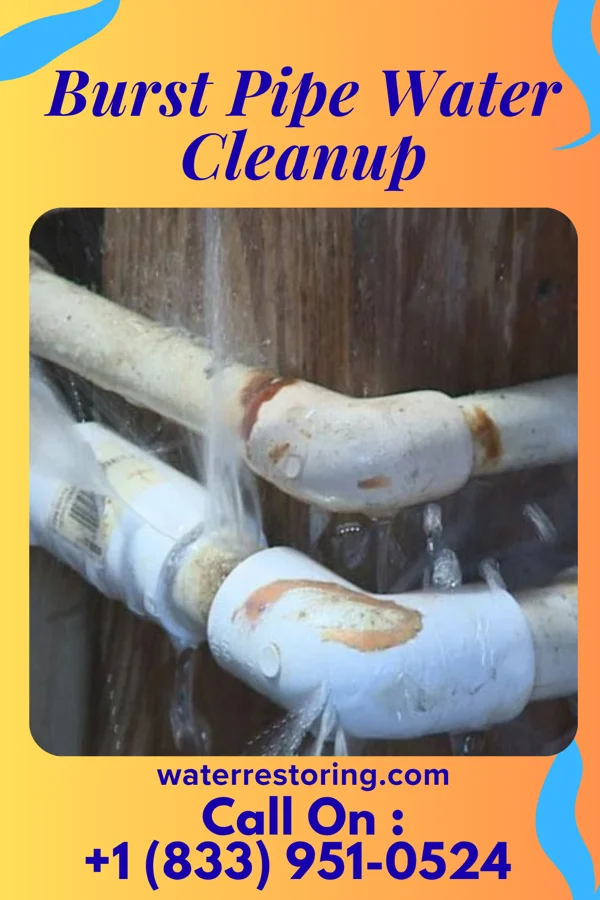 Burst Pipe Water Cleanup in Rutledge, PA