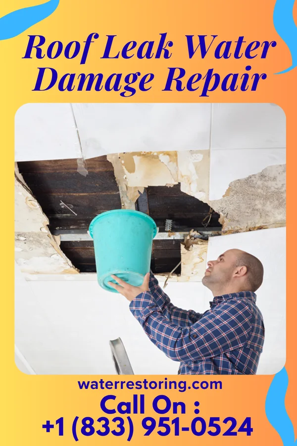 Roof Leak Water Damage Repair in Rutledge, PA