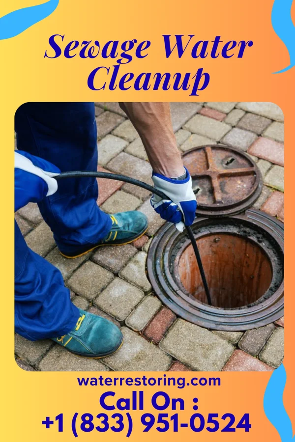 Sewage Water Cleanup in Rutledge, PA