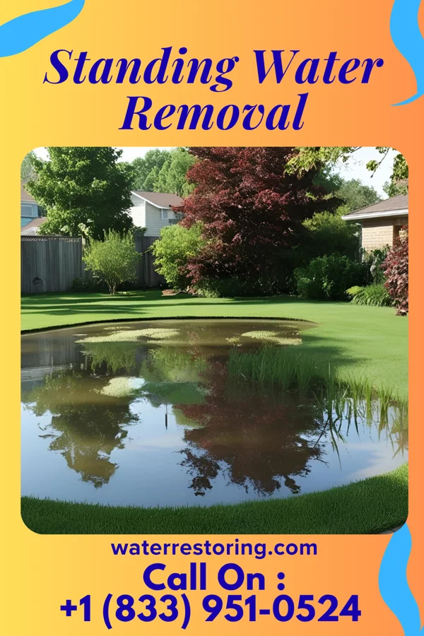 Standing Water Removal in Rutledge, PA